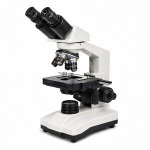 Binocular Microscope