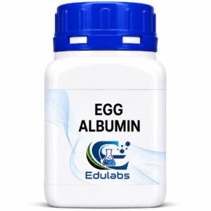 Egg Albumin Powder