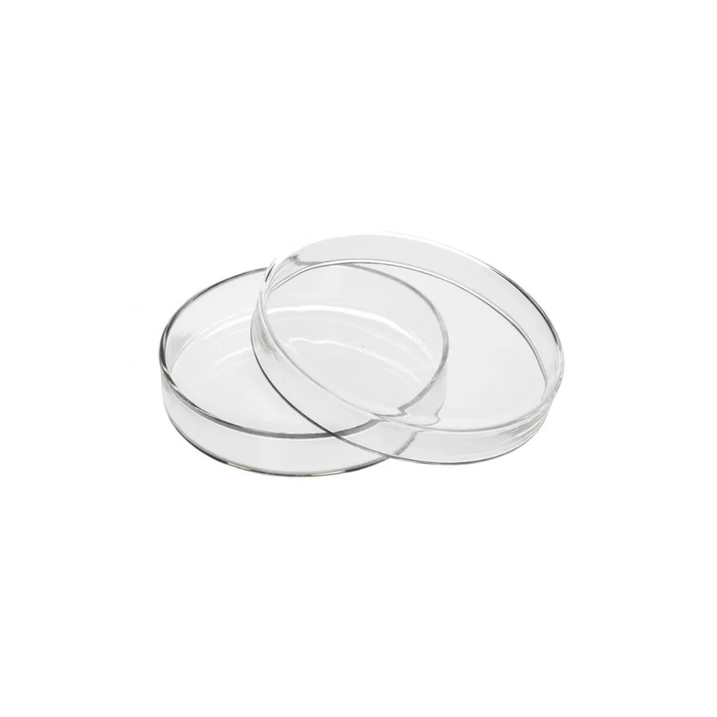 Petri Dish, BORO 3.3 Glass
