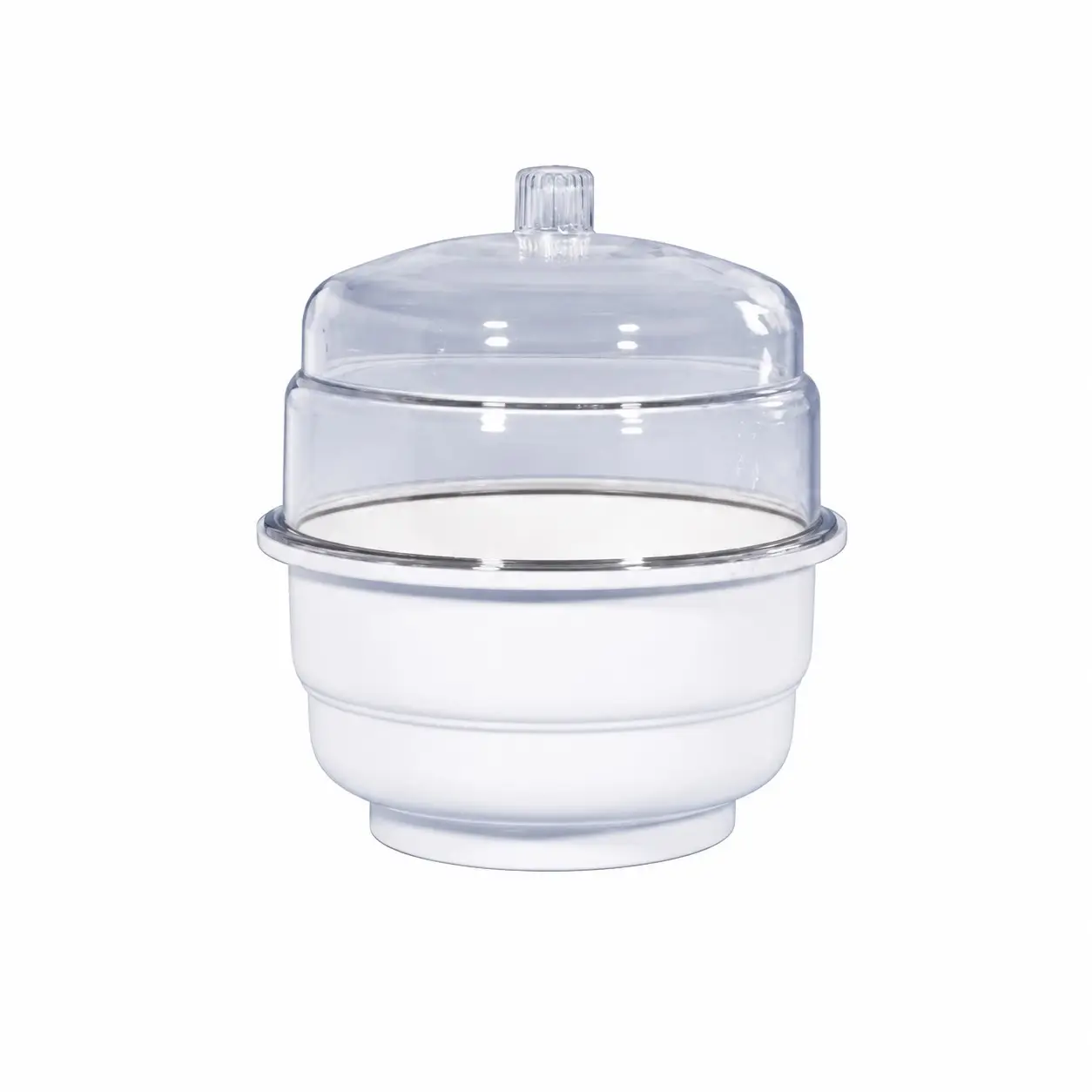 Desiccator (Plain)